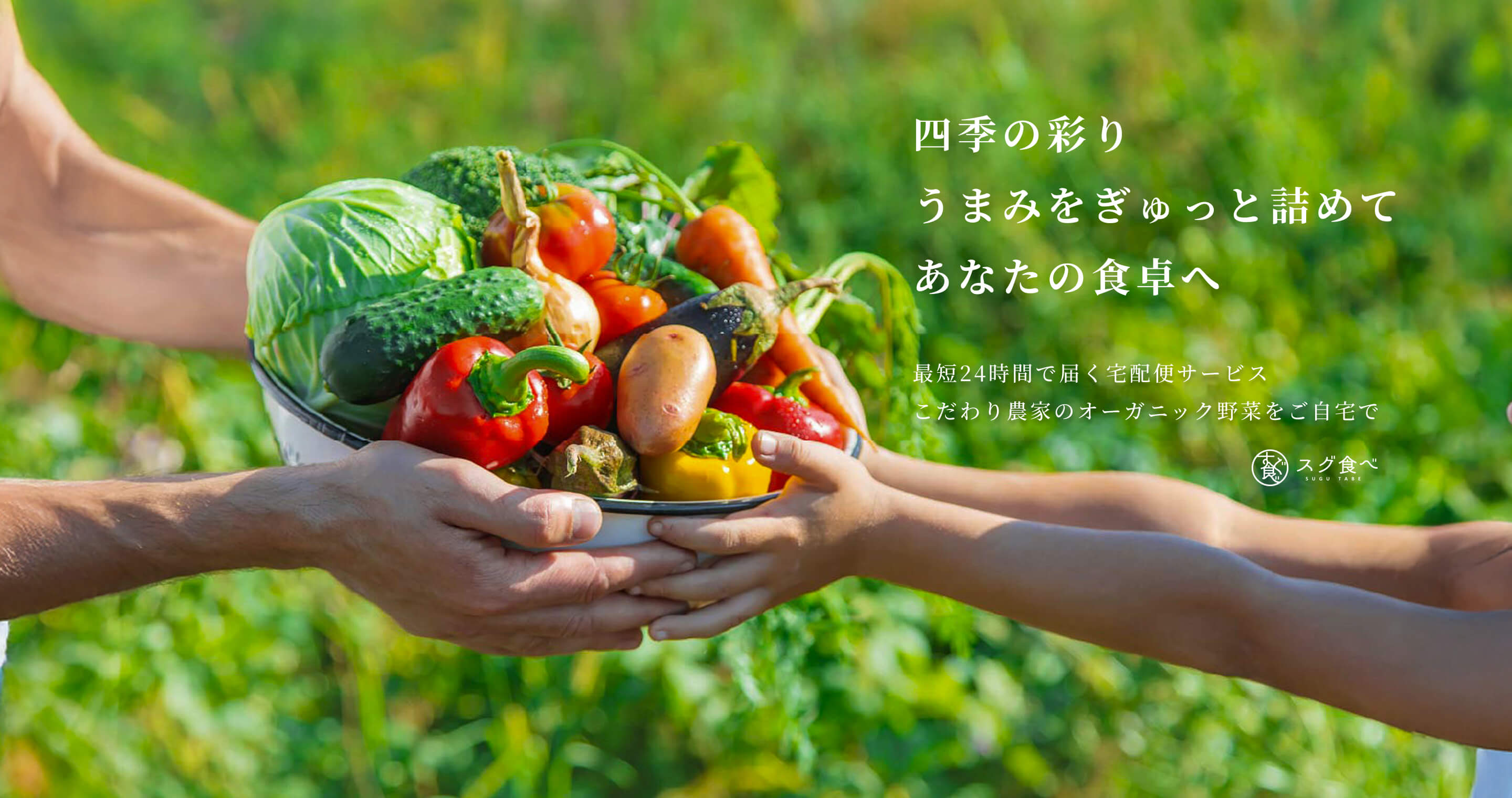 四季の彩りうまみをぎゅっと詰めてあなたの食卓へ 最短24時間で届く宅配便サービスこだわり農家のオーガニック野菜をご自宅で